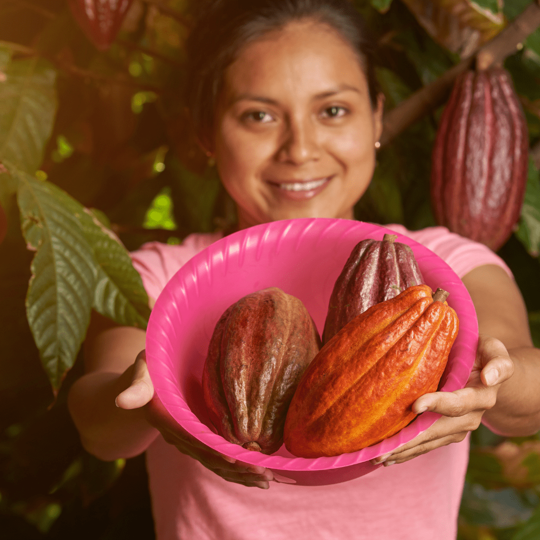 Wholesale Ceremonial Grade Cacao