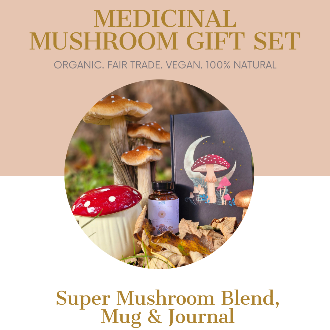 Medicinal Mushroom Gift Set
