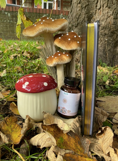 Mushroom Journal